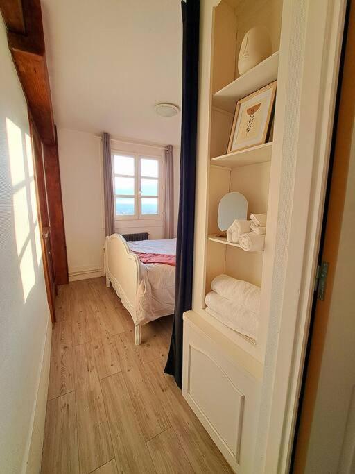 Charmant Duplex A Thiers, Vue Sur La Chaine Des Puys 外观 照片